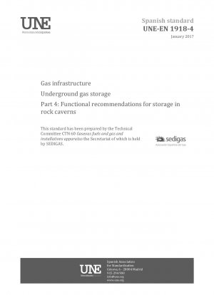 Gas infrastructure - Underground gas storage - Part 4: Functional recommendations for storage in rock caverns