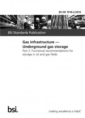 Gas infrastructure. Underground gas storage. Functional recommendations for storage in oil and gas fields