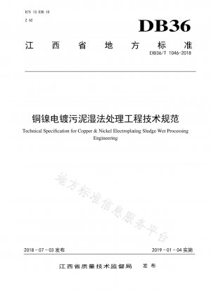 Copper-nickel electroplating sludge wet treatment engineering technical specification