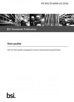 Data quality. Data quality management: Process measurement questionnaire